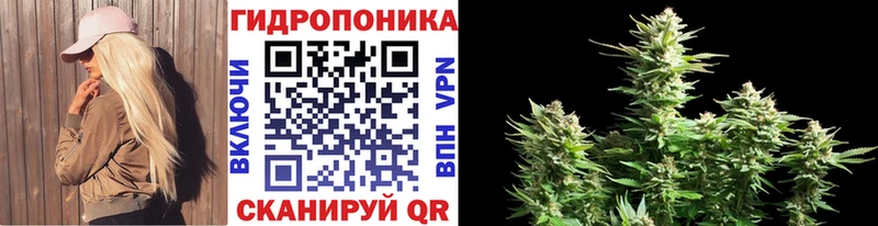 купить наркотик Десногорск Бошки Шишки Bruce Banner